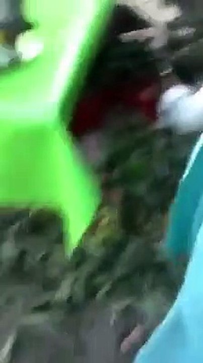 Shocking video of Strawberry getting spray painted to make it look fresh