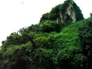 (0736) birds (Dominican Republic mai.2007)