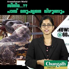 സിനിമ...?? പാമ്പ് മനുഷ്യനെ വിഴുങ്ങും #AnweshanamWorld