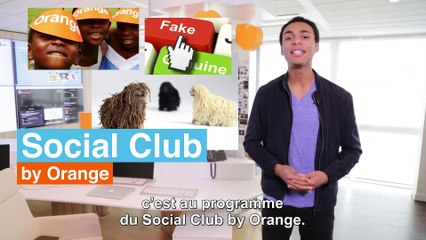 Social Club by Orange N°6
