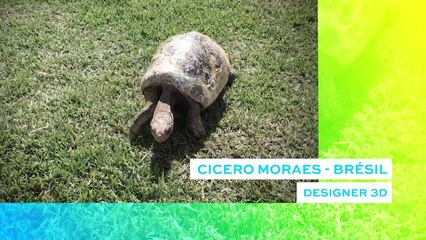 Nous avons fait un travail de numérisation en 3D de la carapace de la tortue
