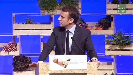 Quand Macron compare bien-être animal et... licenciement