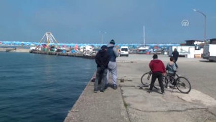 Karadeniz'de Hamsi Sezonu Kapandı