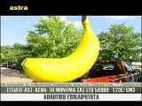 30η Τρίκαλα-ΑΕΛ 3-0 2015-16 Astra sport (Astra tv)