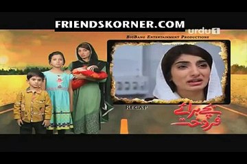 Bache Baraye Farokht Episode 49