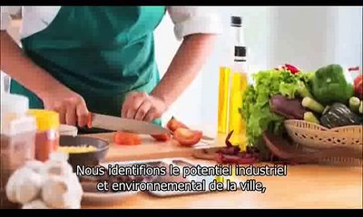 Michael Tellinger - One Small Town (VOSTFR)