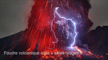 15 CHOSES EXTRAORDINAIRES EXISTENT DANS LA NATURE