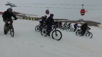 Şanlıurfa Cumhurbaşkanı Erdoğan'a, Fahri Hemşerilik Beratı