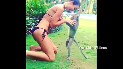 New Funniest Viral Videos Of 2016 - Amazing Viral Videos-sexy - video  Dailymotion