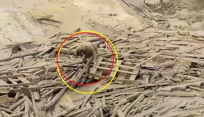 Mujer - Oremos por Perú, Está pasando por momentos difíciles No...