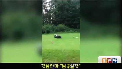 역삼안마[010.4373.1910]역삼역안마