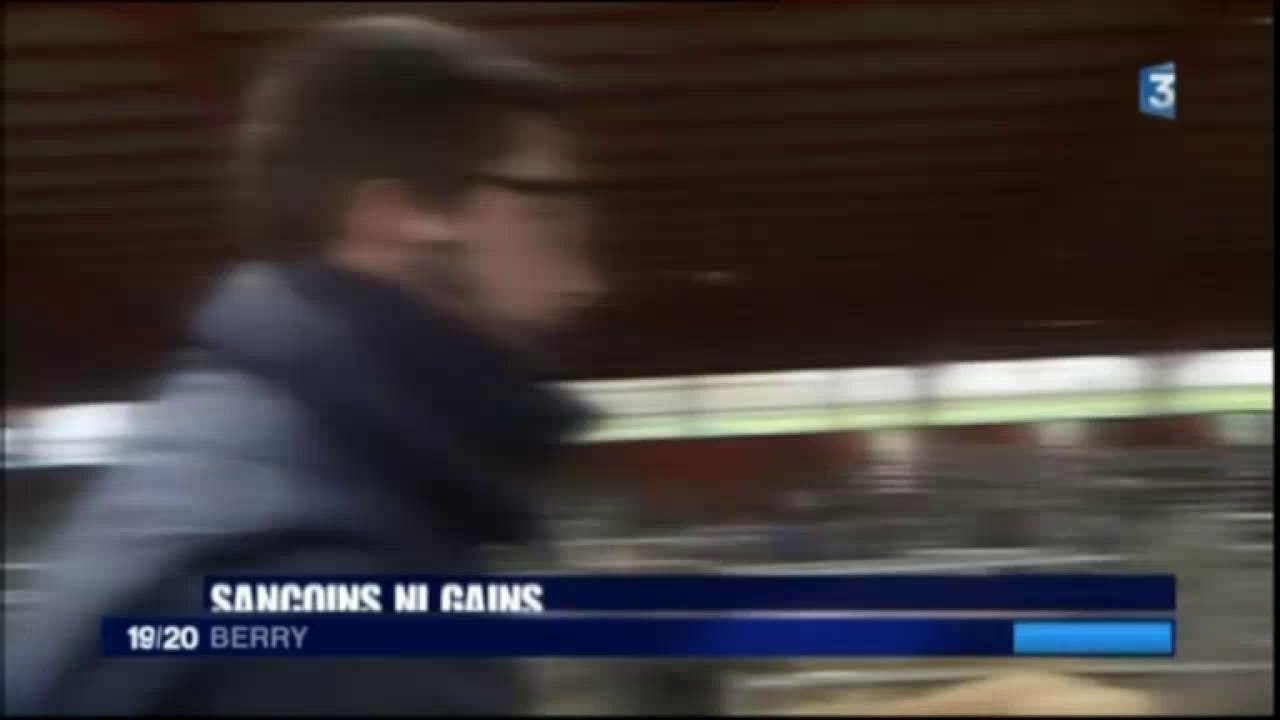 Après l'épidémie de fièvre catarrhale ovine, ambiance au marché au cadran de Sancoins (France 3 Centre)