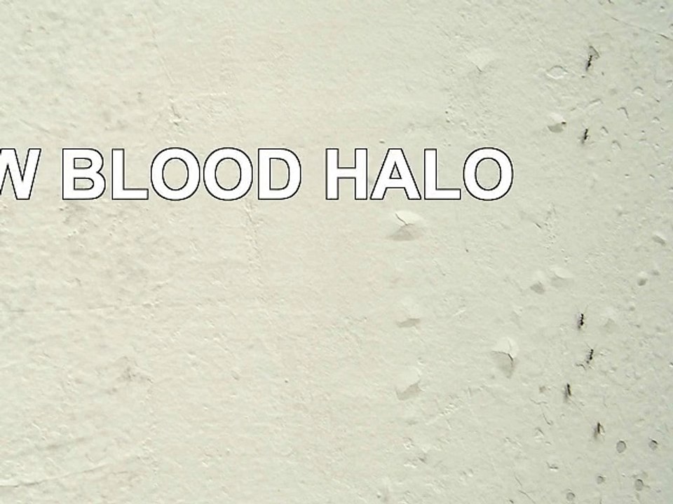 DOWNLOAD  NEW BLOOD HALO ReadBook PDF