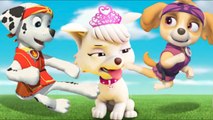 PAW Patrol- Mission PAW - Resuce Sweetie Royal Crown vs KUNG FU Pups - Nick Jr Fun Kids Game