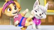 Paw Patrol- Mission PAW - Kung Fu Pups Royal Crown Rescue - Nickelodeon Jr Kids Game Video!