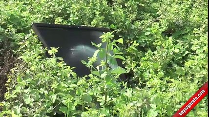 Kaza ihbarına giden polis aracını yakmak istediler