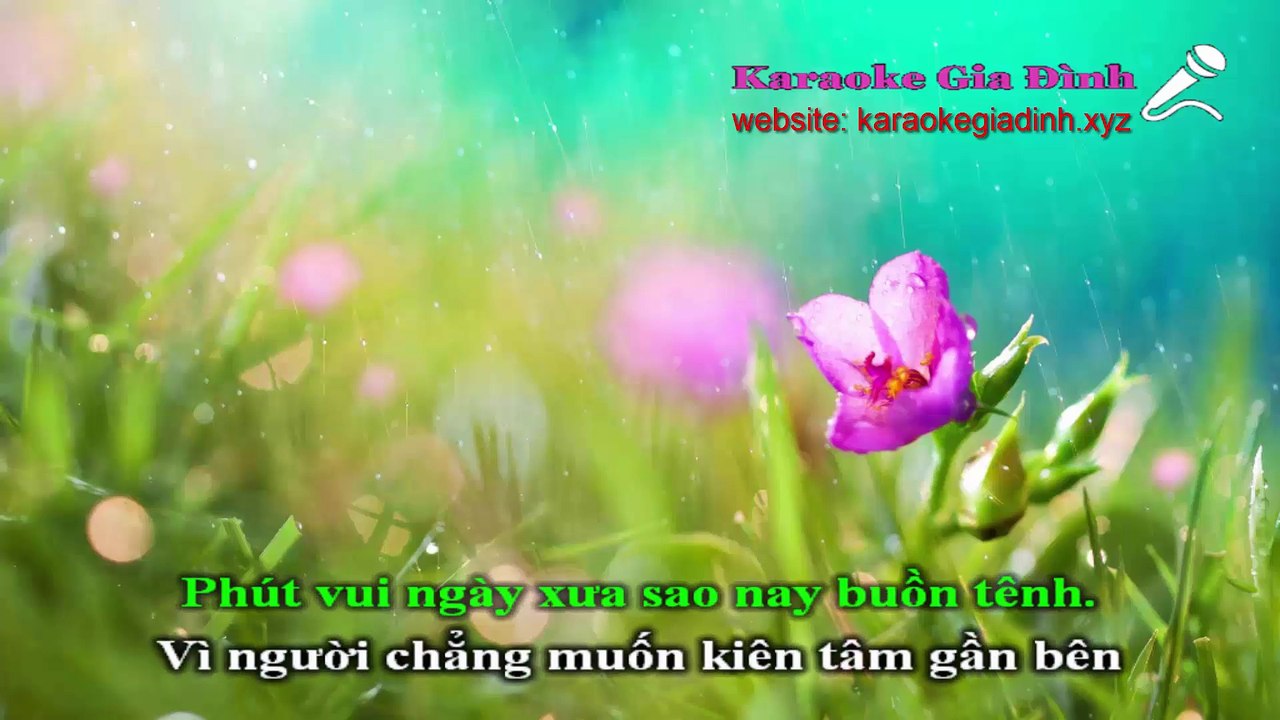 Thương Mấy Cũng Là Người Dưng Karaoke - Tone Thấp (Noo Phước Thịnh)