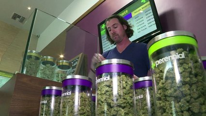 El negocio del cannabis en EEUU vive incertidumbre con Trump