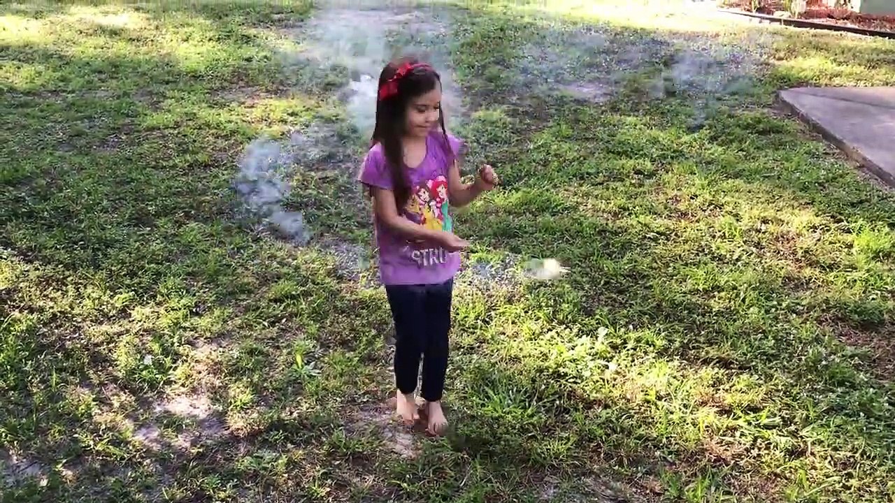 HUGE New Years 2017 Fireworks Shin Our Backyard Sparklers M&