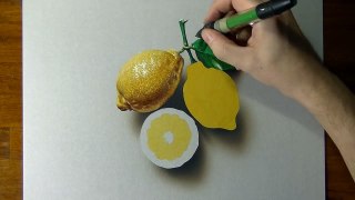 Drawing of some lemons - How to draw 3D Art-CGhsss8WW_4