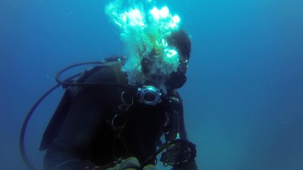 Shark Gets Help from Diver