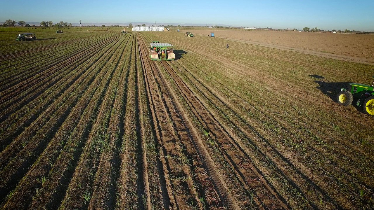 Young Wooldridge - Bakersfield Video Production