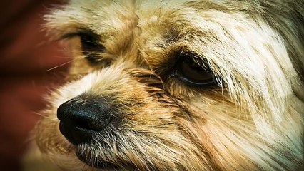 세종오피 아달 세종건마 세종휴게텔