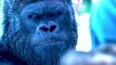 WAR FOR THE PLANET OF THE APES Movie Trailer #2 (2017) - Woody Harrelson, Judy Greer, Andy Serkis