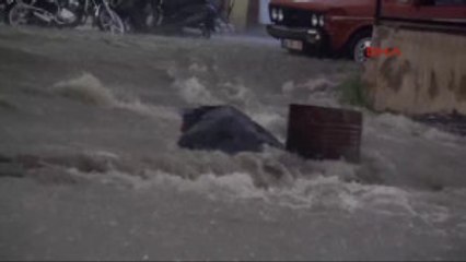 Aydın'da Sağanak Yağış