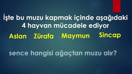 1 dakikada kişilik testi