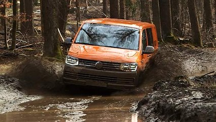 VW T6 PanAmericana & Rockton