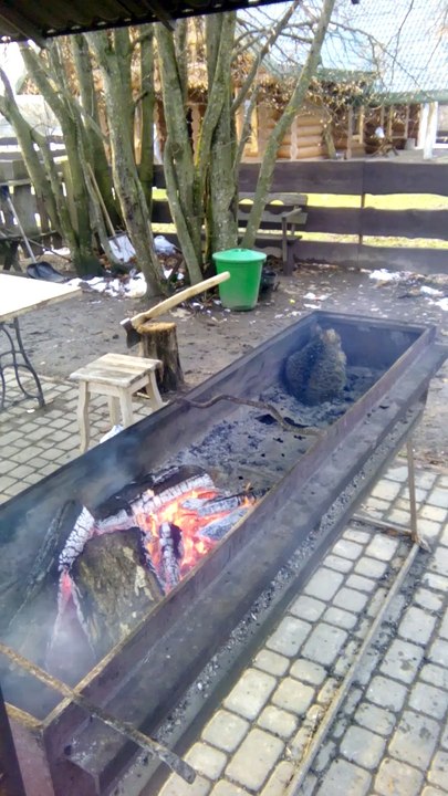 Cat in the Grill