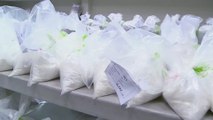 Perú incautó más de 11 toneladas de droga en el primer trimestre de 2017