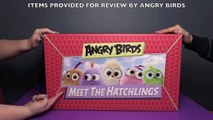 Angry Birds Meet The Hatchlings HUGE Surprise Toys Unboxing! _ Bin's Toy Bin-4dgS