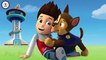 Paw Patrol Puzzle Game - Paw Patrol English Puzzle For Kids [Best - HD]-Y4