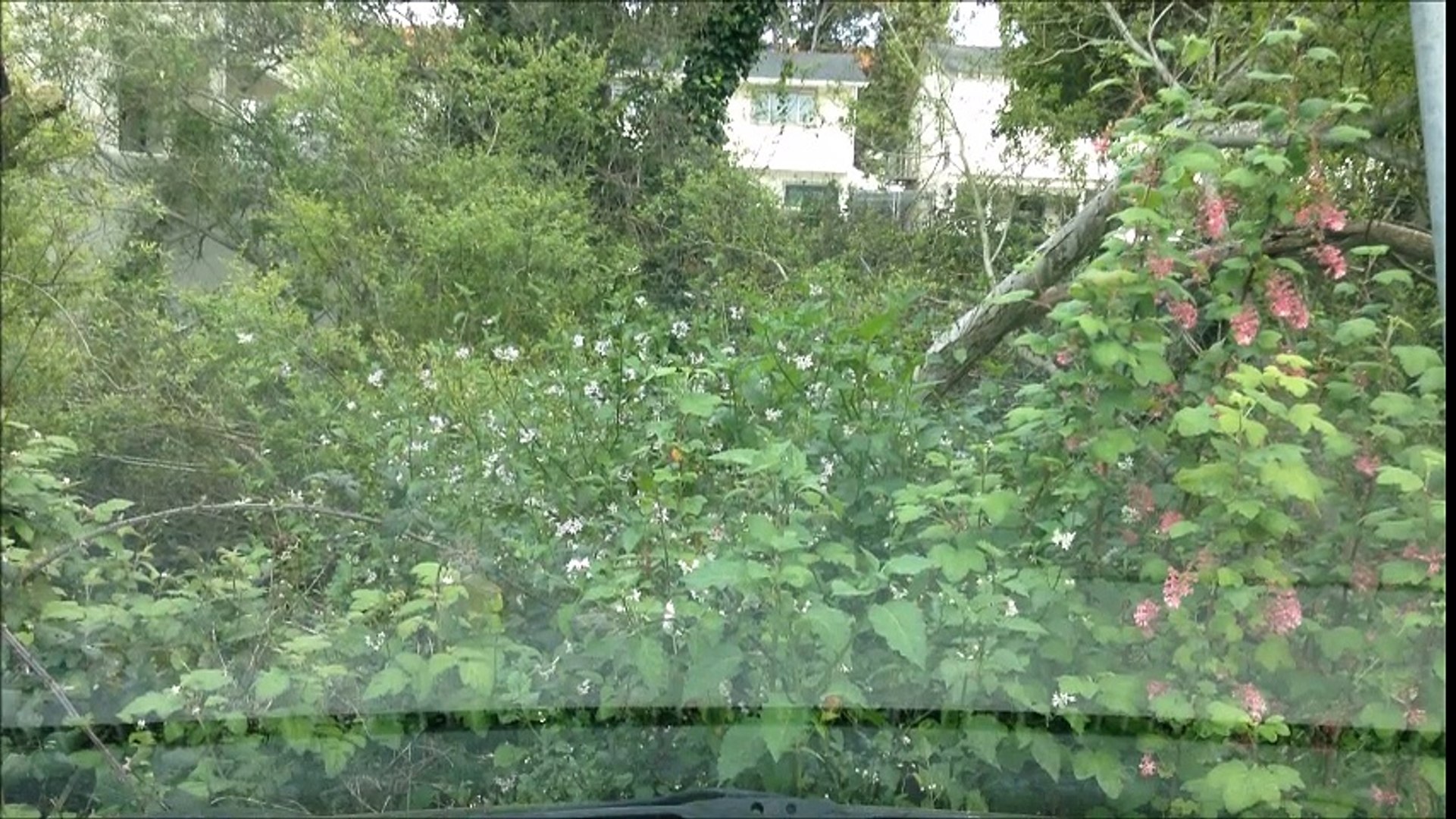 ⁣Drive to Veterans Park from library in Monterrey