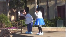 ºoº 東京ディズニーシー ウェルカムグリーティング バンド ミッキー&ミニーちゃんペア復活！ Tokyo DisneySEA Welcome Greeting Bands!