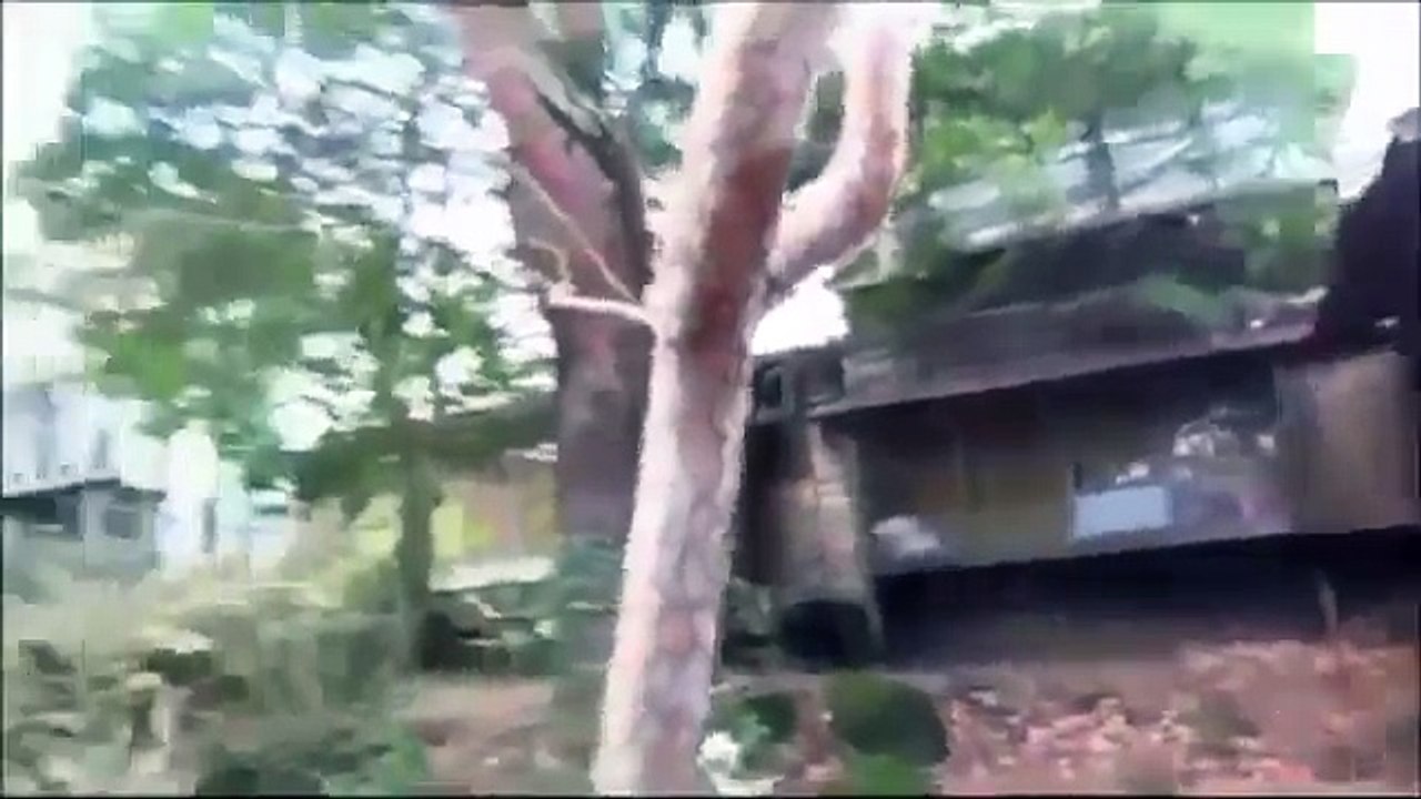 【心霊恐怖動画】 閲覧注意！これはアカン！一人では絶対に見てはいけない漏らすレベルの恐怖映像www