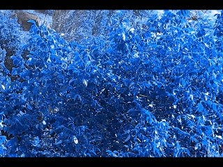 Görsen Beni Görsen Beni