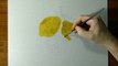 Drawing of some lemons - How to draw 3D Art-CGhsss8W
