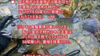 【タイ国民絶賛！！】「天皇皇后両陛下ありがとう。やっぱり私、