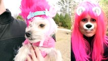 Trolls Puppy Makeover (Poppy, Branch,  on