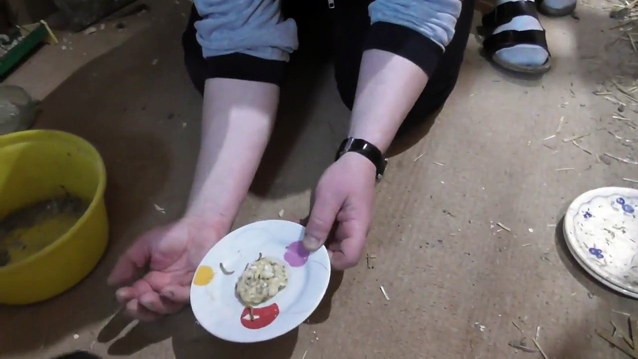 Erwin vs. watch-jOwZra_JoH0