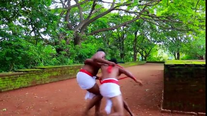 Angampora art martial originaire du Sri Lanka