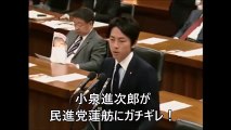 日本の国会面白中継室　小泉進次郎が国会で蓮舫に激怒！「ならやれよ！」フルボッコ論破！