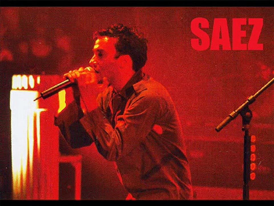 Putains vous m'aurez plus - Damien Saez