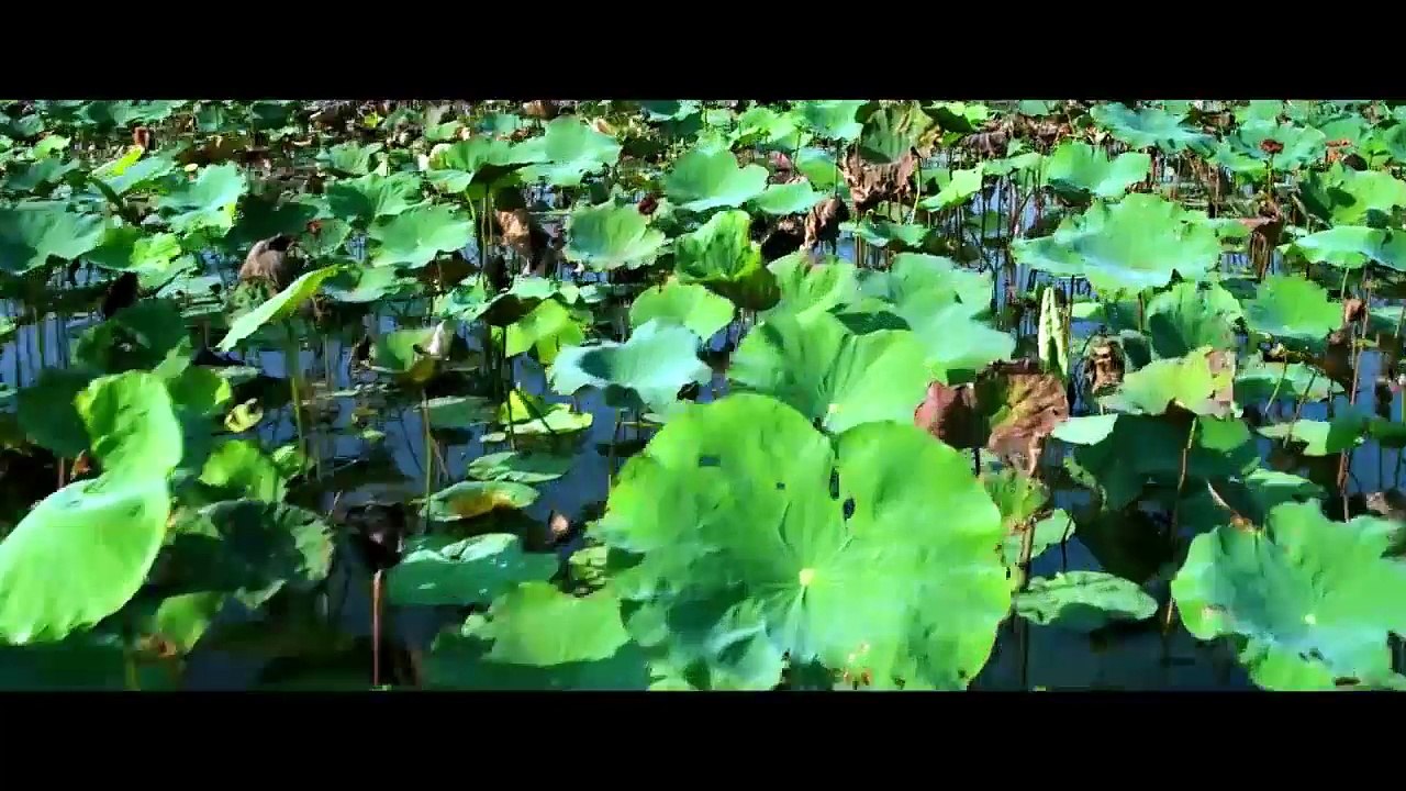 P1 - TÍA TÔI LÀ CAO THỦ - FULL HD - PHIM TẾT 2017