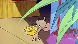 Tom and Jerry - Figaro - Lemon Scene