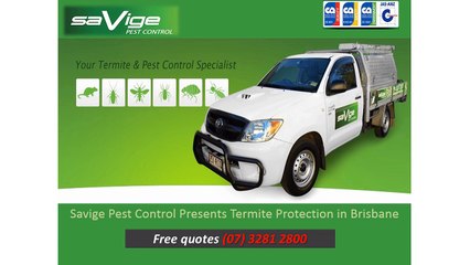Savige Pest Control Presents Termite Protection in Brisbane