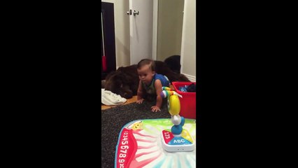 Priceless moment captured between baby and dog